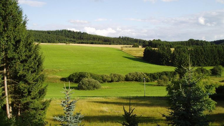 Eine weite, grüne Landschaft mit sanften Hügeln und Bäumen. Der Himmel ist klar mit wenigen Wolken.