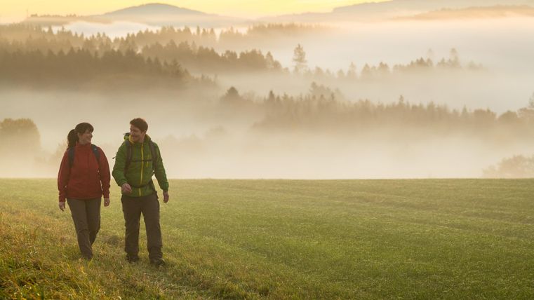A couple walks hand in hand across a green meadow in the fog. In the background, forests and gentle hills are visible as the sun rises.