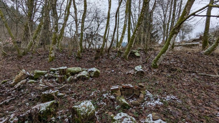A tranquil forest landscape with a snow-covered ground and many trees. In the foreground, there are some stones and a small crow stone.