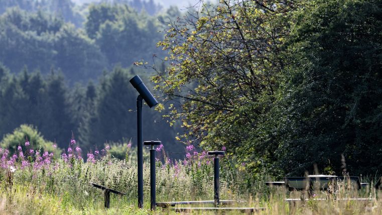 A picturesque landscape with colorful wildflowers and trees in the background. In the foreground, there are some information desks for observing nature.