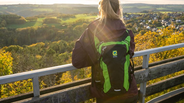 A person is standing on a viewing platform and looking at the autumn landscape. In the background, gentle hills and a clear sky are visible.