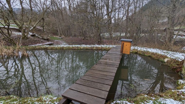 A quiet pond surrounded by trees, with a wooden walkway leading to the water. There is some snow on the ground and the atmosphere is calm and peaceful.