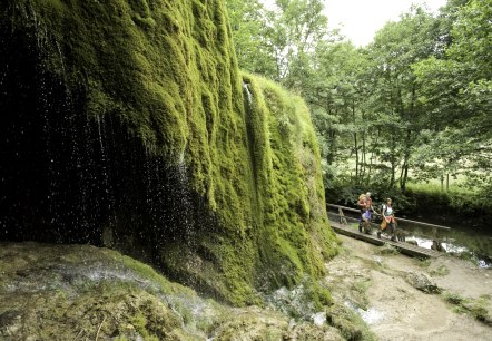 Eifelsteig trail, Nohn waterfall, © Rheinland-Pfalz Tourismus GmbH - Dominik Ketz