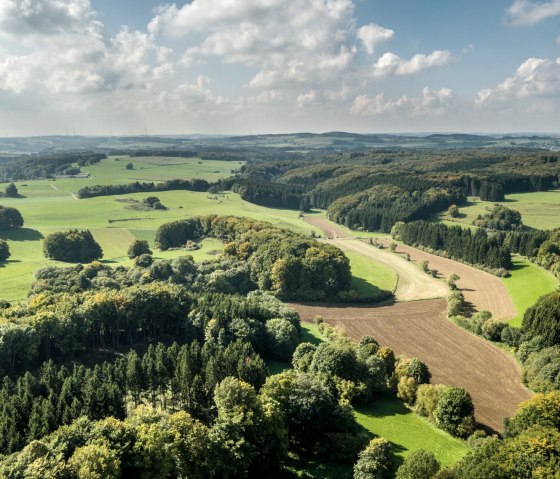Uitzicht tijdens de wandeling op de Schneifel Trail, © Eifel Tourismus GmbH / D. Ketz