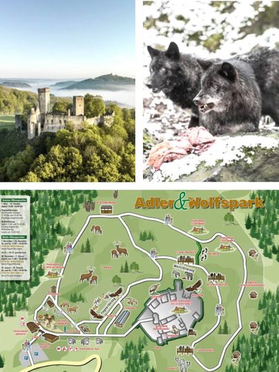 A picturesque castle in the hills, surrounded by trees and mist. Two black foxes stand in a snowy environment.