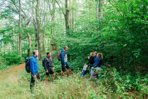Een groep van zes wandelaars staat in een groene bos. Ze praten met elkaar en genieten van de natuur om hen heen.