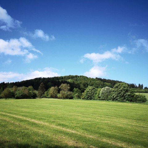 Aussicht vom Ernstberg, © GesundLand Vulkaneifel GmbH