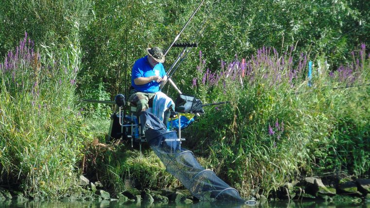 A fisherman sits by the shore of a body of water and is fishing. Around him, tall green plants and colorful flowers are growing.