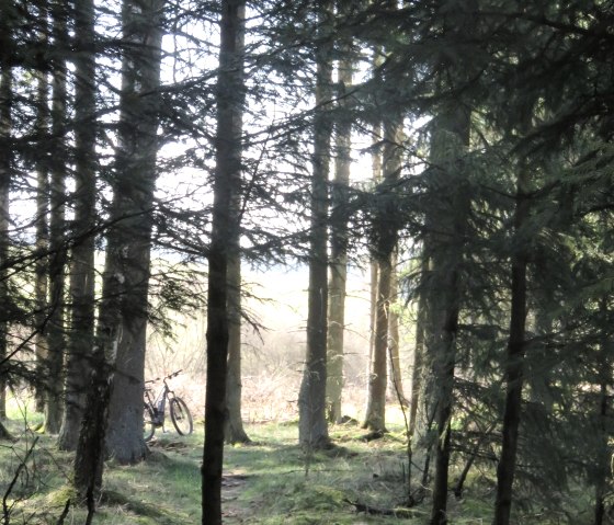 Weg zur Quelle, &copy; TI Kelberg