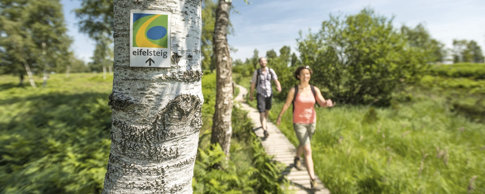 Se promener sur le Eifelsteig, © Eifel Tourismus GmbH - Dominik Ketz