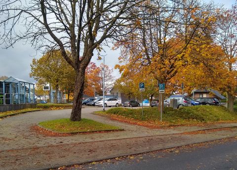 A quiet park road with colorful autumn trees. Cars are parked in a nearby parking lot.