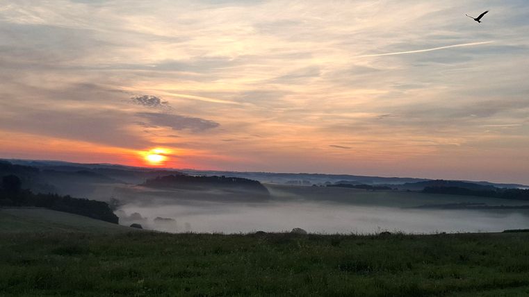 A picturesque landscape at sunrise with gentle hills and fog in the valley. The sky is draped in soft colors as a bird flies overhead.