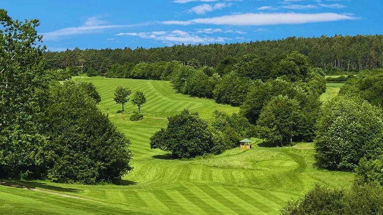 Een uitgestrekt, groen landschap met zachte heuvels en veel bomen. De lucht is blauw en helder, wat een aangename sfeer creëert.