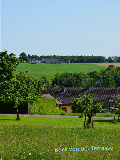 A view from the terrace of green meadows and a bright blue sky. In the foreground, some houses and trees can be seen.
