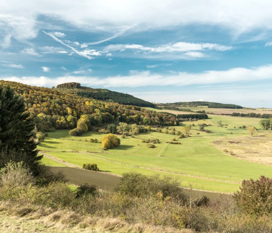 Étang de Dreiser sur le sentier de randonnée "Vulkangipfel-Pfad" (sentier du sommet du volcan), © Eifel Tourismus GmbH - D. Ketz