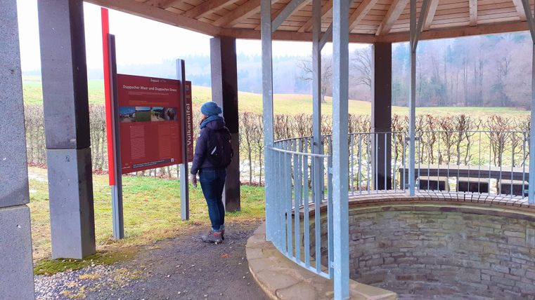 Eine Person betrachtet ein Informationsschild im Pavillon Duppacher Drees. Der Pavillon hat ein Holzdach und Metallgeländer, umgeben von Landschaft.