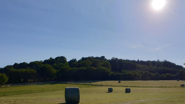 Eine grüne Wiesenlandschaft mit mehreren Heuballen und einem Wald im Hintergrund. Am Himmel ist die Sonne und ein klarer blauer Himmel sichtbar.