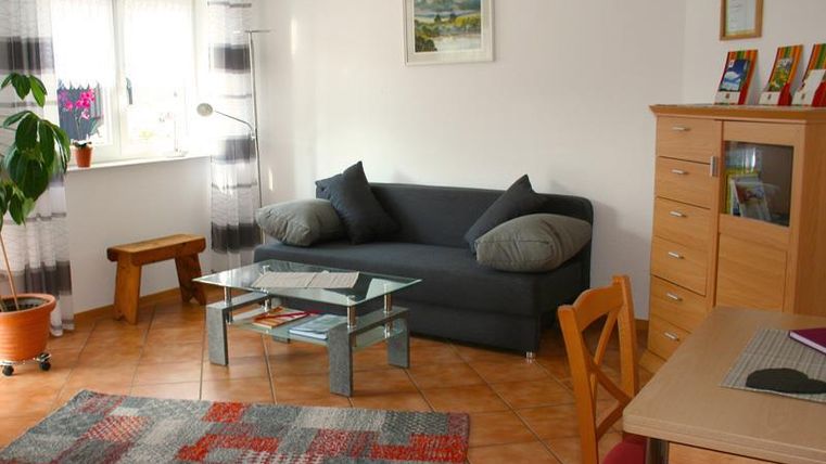 A cozy living room with a gray sofa and a glass table. The room is bright and friendly, with a colorful rug and a plant in the corner.