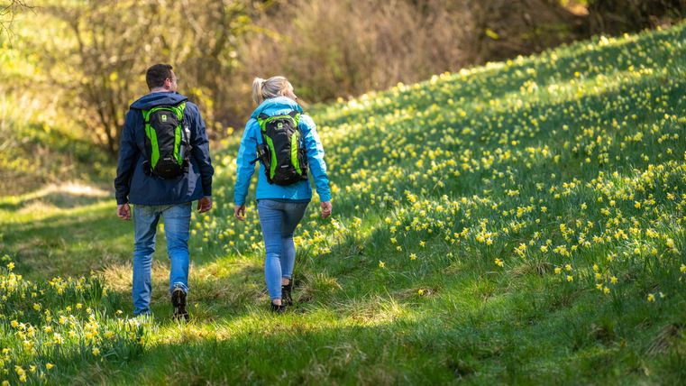 Twee personen wandelen op een groen veld met veel bloeiende narcissen. Ze dragen rugzakken en genieten van de natuur.