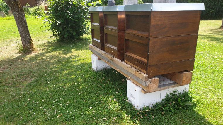 Ein Bienenstock aus Holz steht in einem grünen Garten. Im Hintergrund sind Bäume und ein heller Himmel zu sehen.