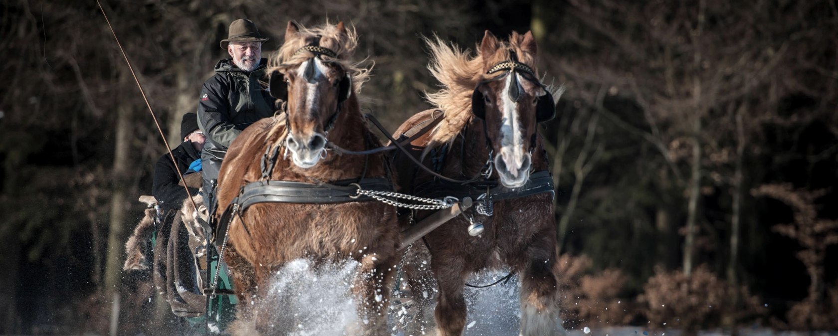 Bauershof, &copy; Akim-Tierfotografie