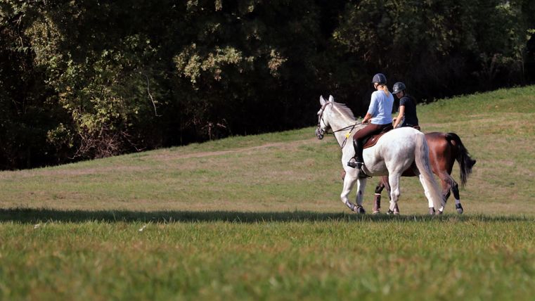 Two riders on horses enjoy a ride in the green. The meadow is expansive and surrounded by trees.