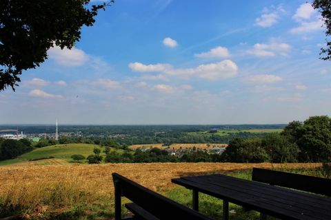 Eine weite Landschaft mit sanften Hügeln und einem blauen Himmel. Im Vordergrund steht ein Holztisch unter einem Baum.
