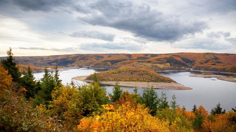 Eine malerische Landschaft im Herbst mit bunten Bäumen. Ein ruhiger Fluss schlängelt sich durch die sanften Hügel.