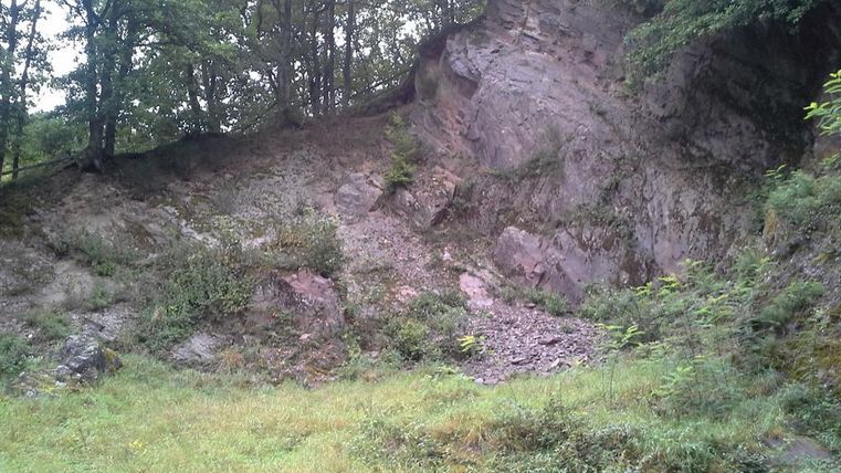 A steep rock wall with grass and bushes in the foreground. Surrounded by trees in a natural setting.