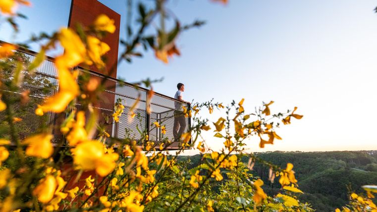 Ein Mann steht auf einer Aussichtsplattform umgeben von gelben Blumen. Im Hintergrund ist eine schöne Landschaft zu sehen, die von Sonnenlicht erhellt wird.