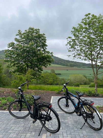 Zwei Fahrräder stehen auf einem gepflasterten Weg. Im Hintergrund sind Bäume und eine grüne Landschaft zu sehen.
