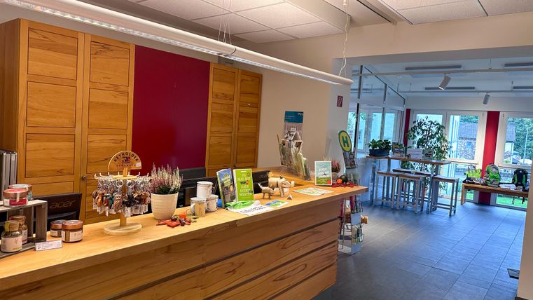 A bright and modern store with a wooden counter area. The space features plants and tables that create an inviting atmosphere.
