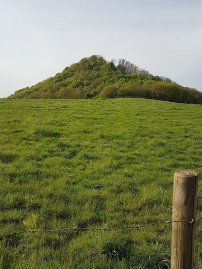 Eine sanfte Hügelkuppe ist von grünem Gras umgeben. Im Hintergrund sind Bäume und ein klarer Himmel zu sehen.