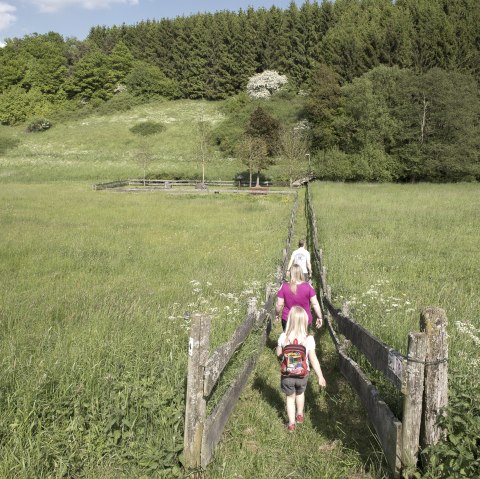 Drees, &copy; TI Kelberg / Klaus-Peter Kappest