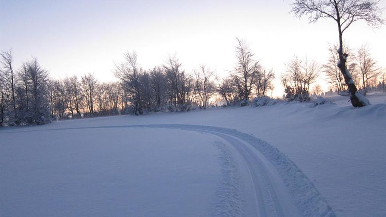 Eine verschneite Landschaft mit einem sanften Weg, der durch den Schnee führt. Im Hintergrund sind schneebedeckte Bäume und ein klarer Himmel zu sehen.