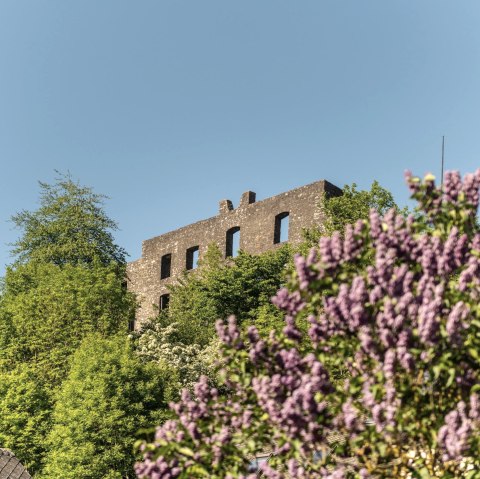 Blick auf die Burgruine Ulmen, © GesundLand Vulkaneifel/D. Ketz