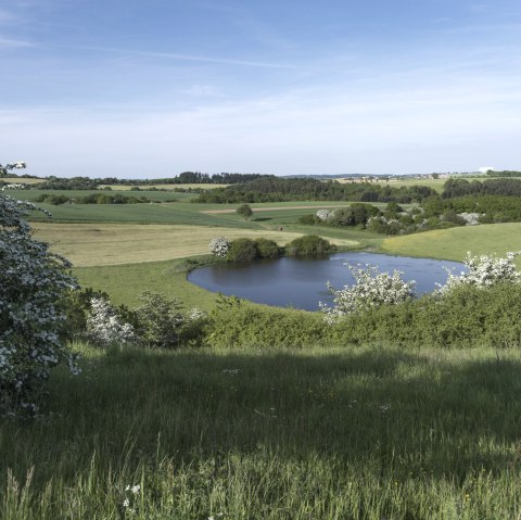 Trautzberger Maar, &copy; Natur- und Geopark Vulkaneifel