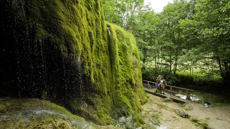 A green, moss-covered rock with bubbling water. In the background, trees and a hiker on a walkway can be seen.