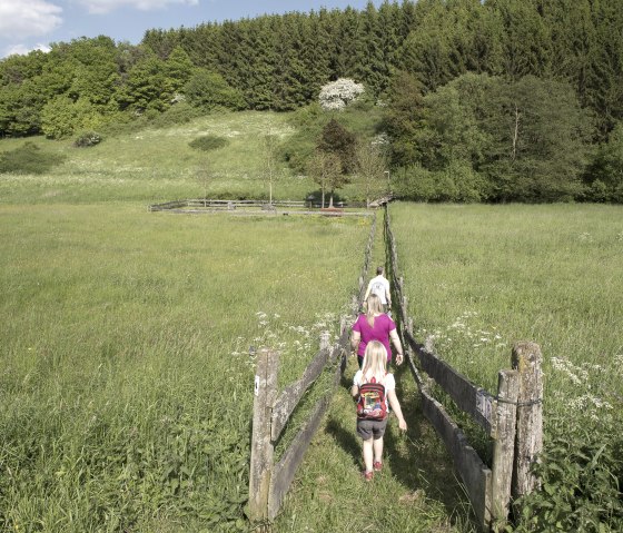 Drees, &copy; TI Kelberg / Klaus-Peter Kappest