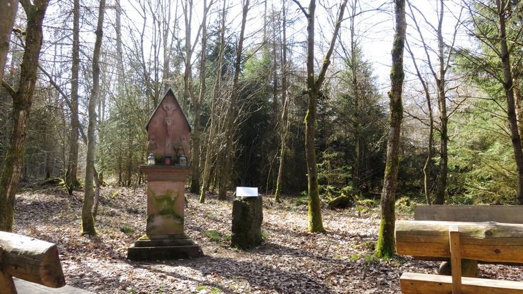 Ein ruhiger Wald mit hohen Bäumen und frischem Laub. Im Vordergrund steht ein Denkmal und eine Bank lädt zum Verweilen ein.