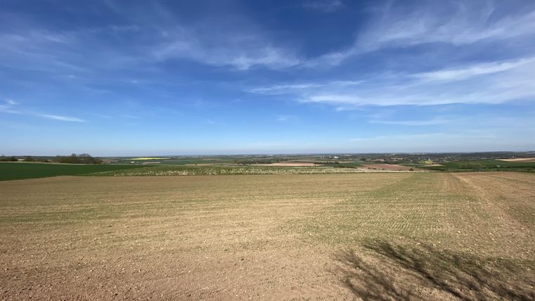 Eine weite Landschaft mit braunem, unbewirtschaftetem Boden und einem klaren, blauen Himmel. Im Hintergrund sind sanfte Hügel sichtbar.