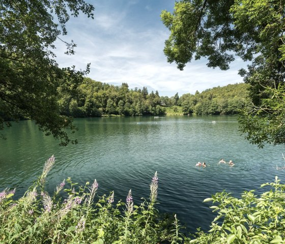 Schwimmen im Naturfreibad Gem&uuml;ndener Maar, &copy; Rheinland-Pfalz Tourismus GmbH, D. Ketz