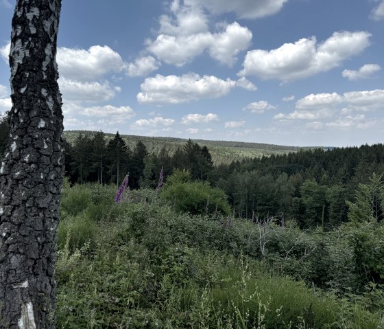 IMG_6738, &copy; Rureifel-Tourismus e.V., Dennis Winands