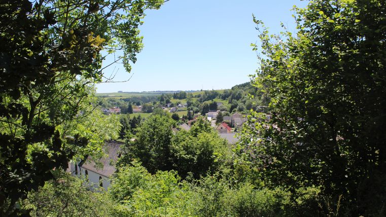 Eine grüne Landschaft mit vielen Bäumen und klaren Himmel. Im Hintergrund sind kleine Häuser und sanfte Hügel sichtbar.