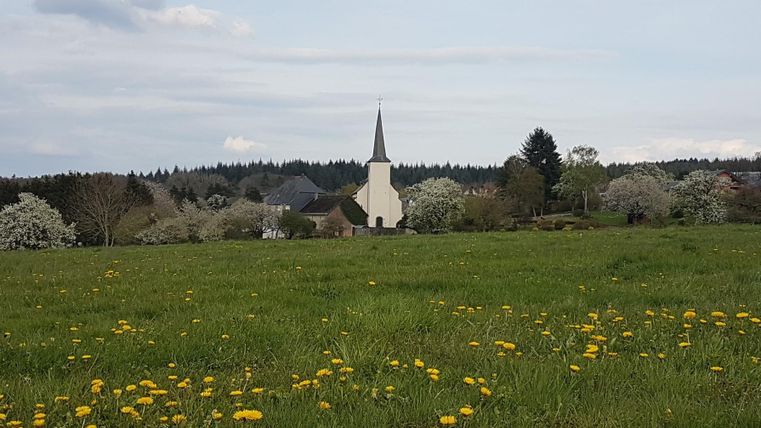 Eine idyllische Landschaft mit einer Kirche im Hintergrund und blühenden Wiesen im Vordergrund. Gelbe Löwenzahnblüten schmücken die grüne Wiese.