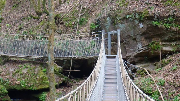 Een smalle hangbrug over een klein beekje, omringd door ruige rotsen en groene vegetatie. De bodem is bedekt met bladeren, wat de natuurlijke omgeving benadrukt.