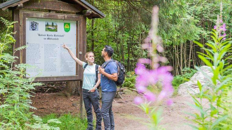 Zwei Personen stehen an einem Informationsschild im Wald. Eine Person zeigt auf das Schild, während die andere aufmerksam zuschaut.