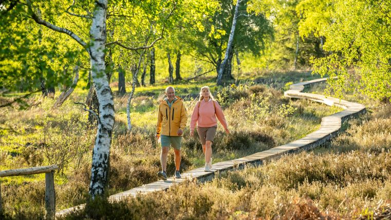 Een stel wandelt over een houten pad door een idyllisch landschap met groene begroeiing. De zon schijnt en er heerst een aangename, vrolijke sfeer.