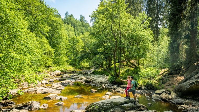 Two hikers are standing on rocks by a river in the forest.