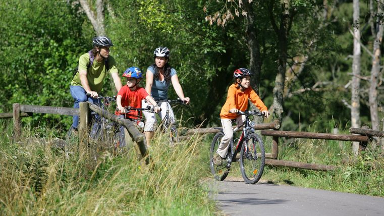 A group of four cyclists is riding on a quiet path through nature. In the background, trees and green grass can be seen.